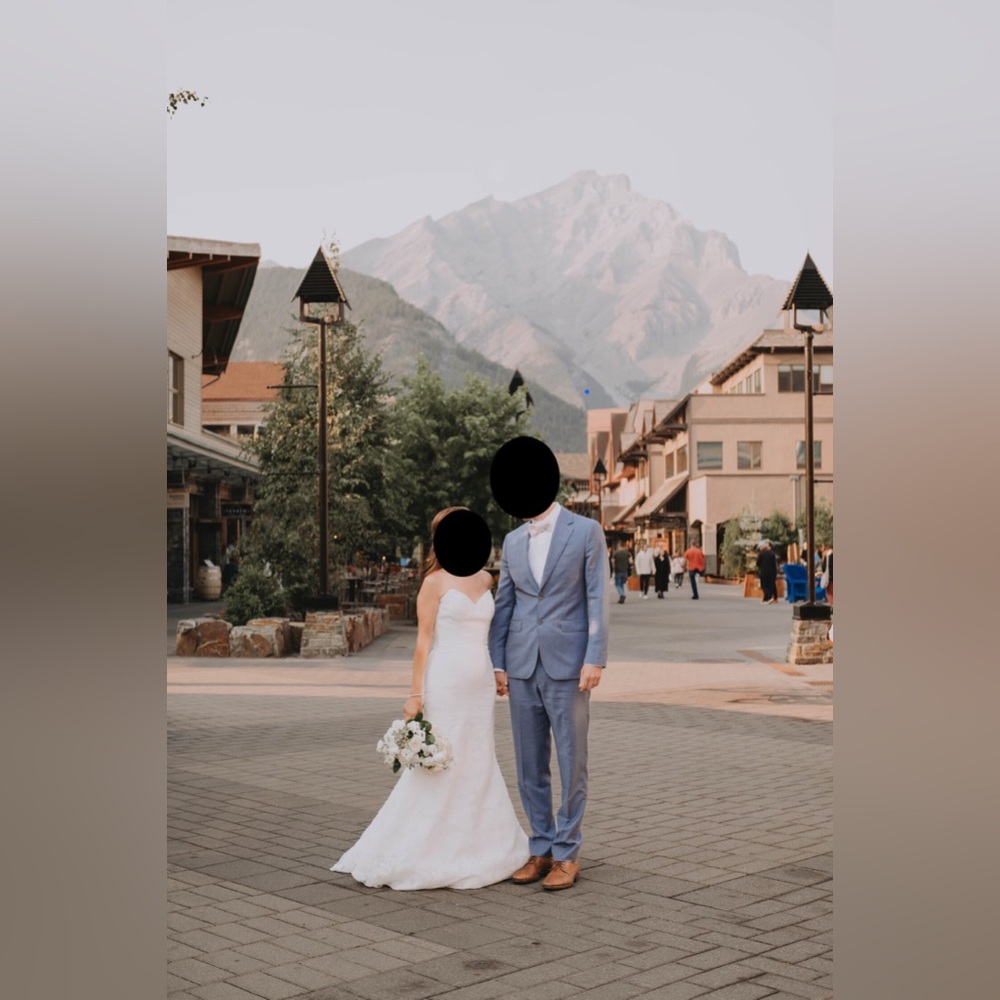 Anne Barge Blue Willow Wedding Dress (Walker style)